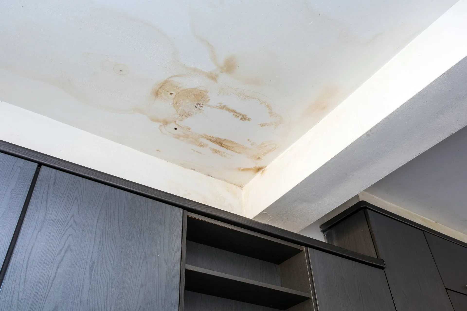 Ceiling and Walls Leak