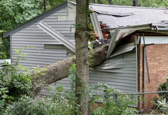 Hail and Wind Damage