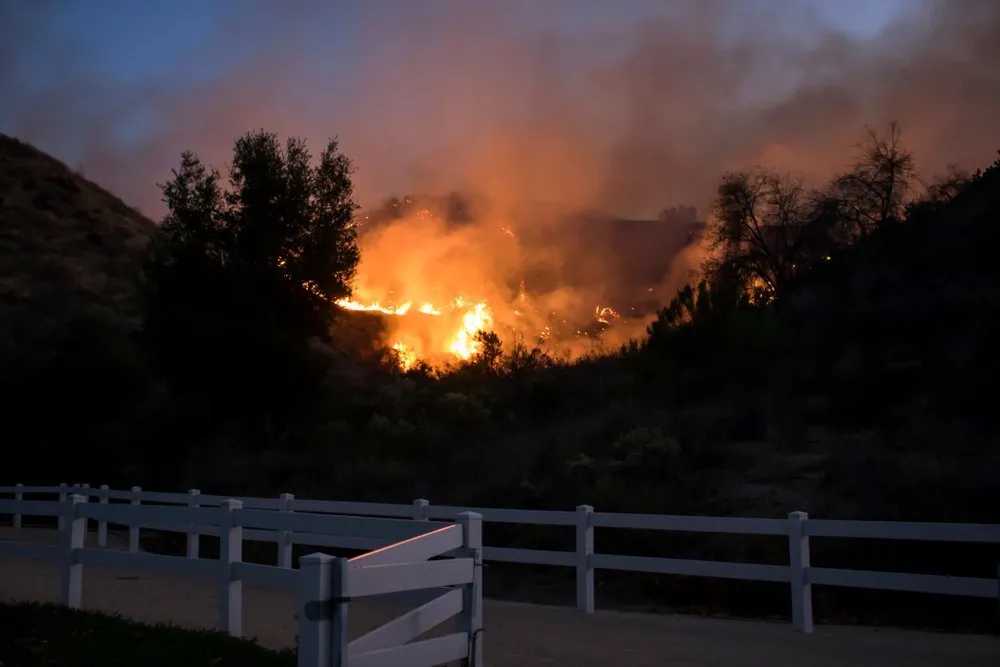 Wildfires Damage